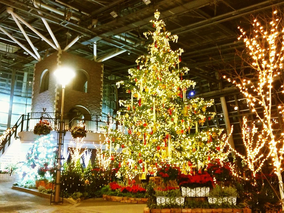 Aichi Now (Aichi Prefecture Tourism Bureau) (@AichiNow_en)  Posts  X