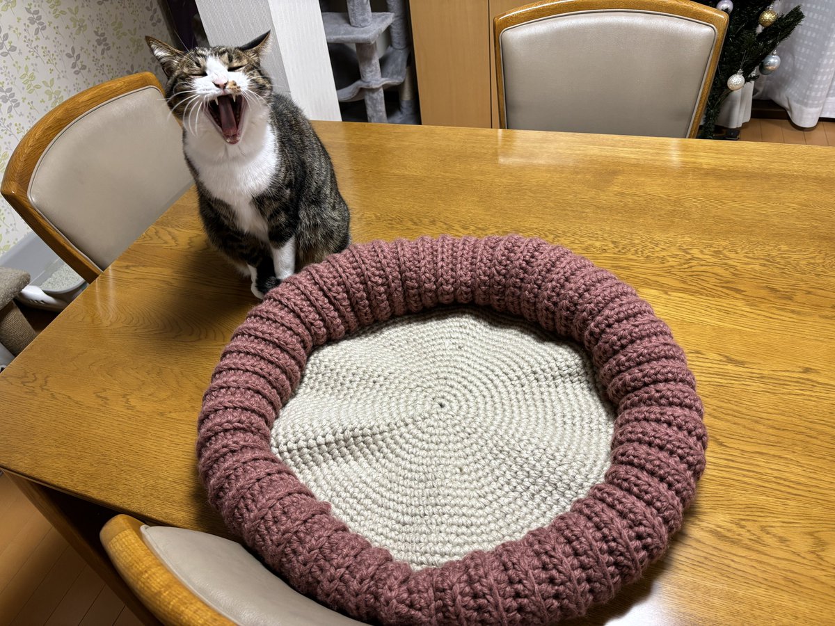 ニャンゲ・モフフモフ (@nokoya) / Posts / X