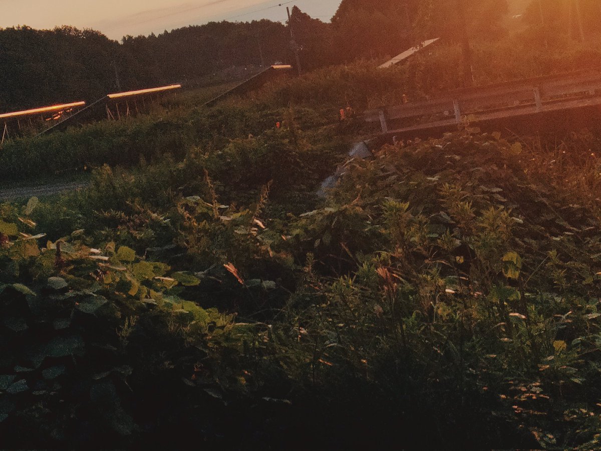 winterpainter2's tweet image. 