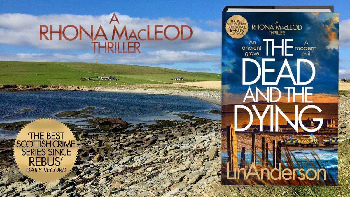 Lin Anderson tweet media