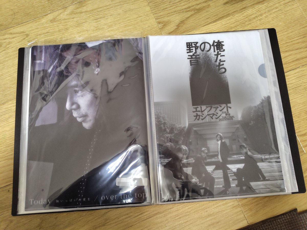 クリアファイルのファイル買った。クリアファイルをファイルするって