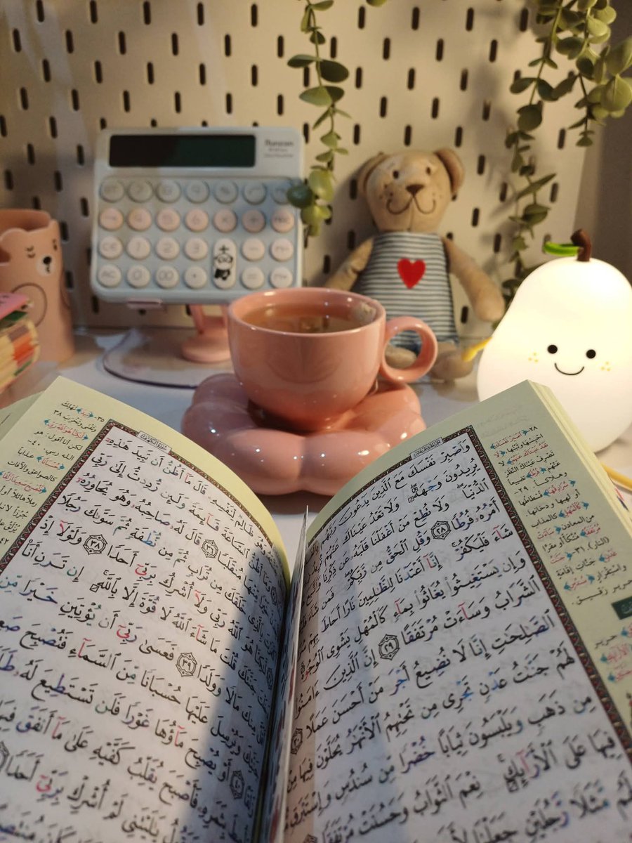 قرَّ عيني بما أودّ، وبلغني منايّ الذي أحبّ حتى يأتيني يوم أقول فيه، اليوم وجدتُ ضالتِي، أشعرُ أن نفسِي مستقرَّة، ودِيعة، مطمئنَّة. يُمكنني القول بأنني في تلك اللحظة بالتحديد سعِيد بشكلٍ كافٍ، ولا غاية أخرى لي بعد الآن.