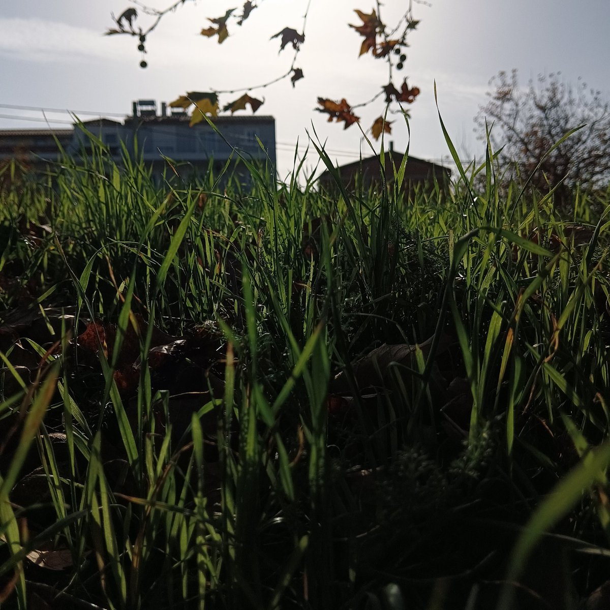 "..και σαρκωθέντα εκ Πνεύματος άγιου και Μαρίας της Παρθένου και ενανθρωπήσαντα.."