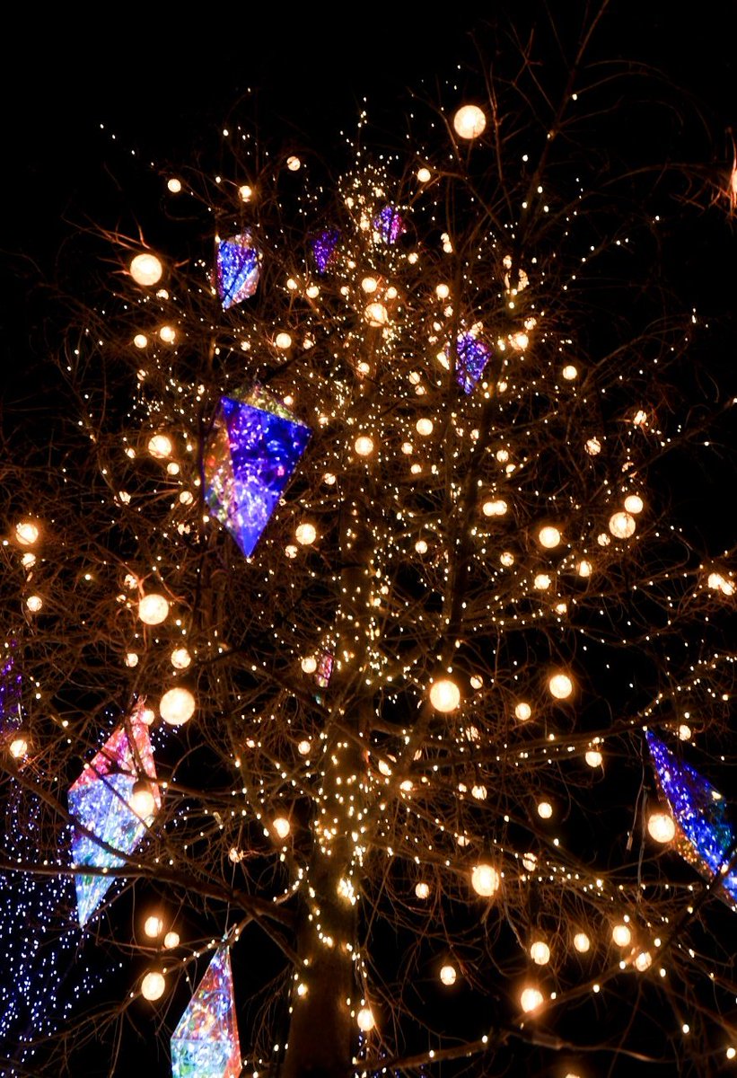 発想の転換
ツリーを天空のヒカリに