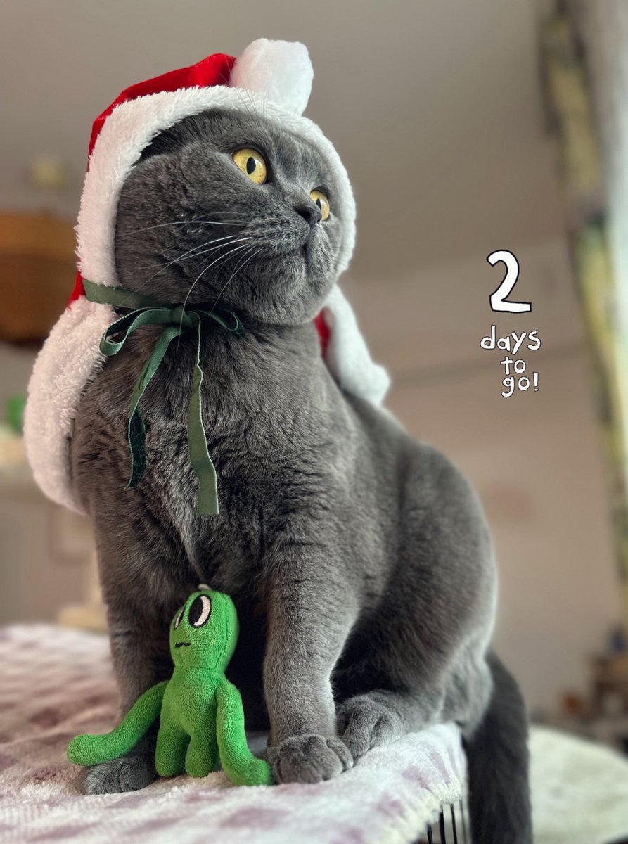 グーニャン (@GuuNyan0512) / Posts / X