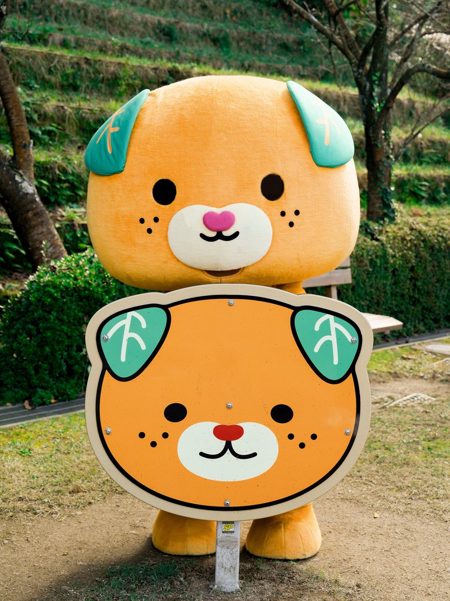 みきゃん【公式】《愛媛県イメージアップキャラクター》 (@micanehime