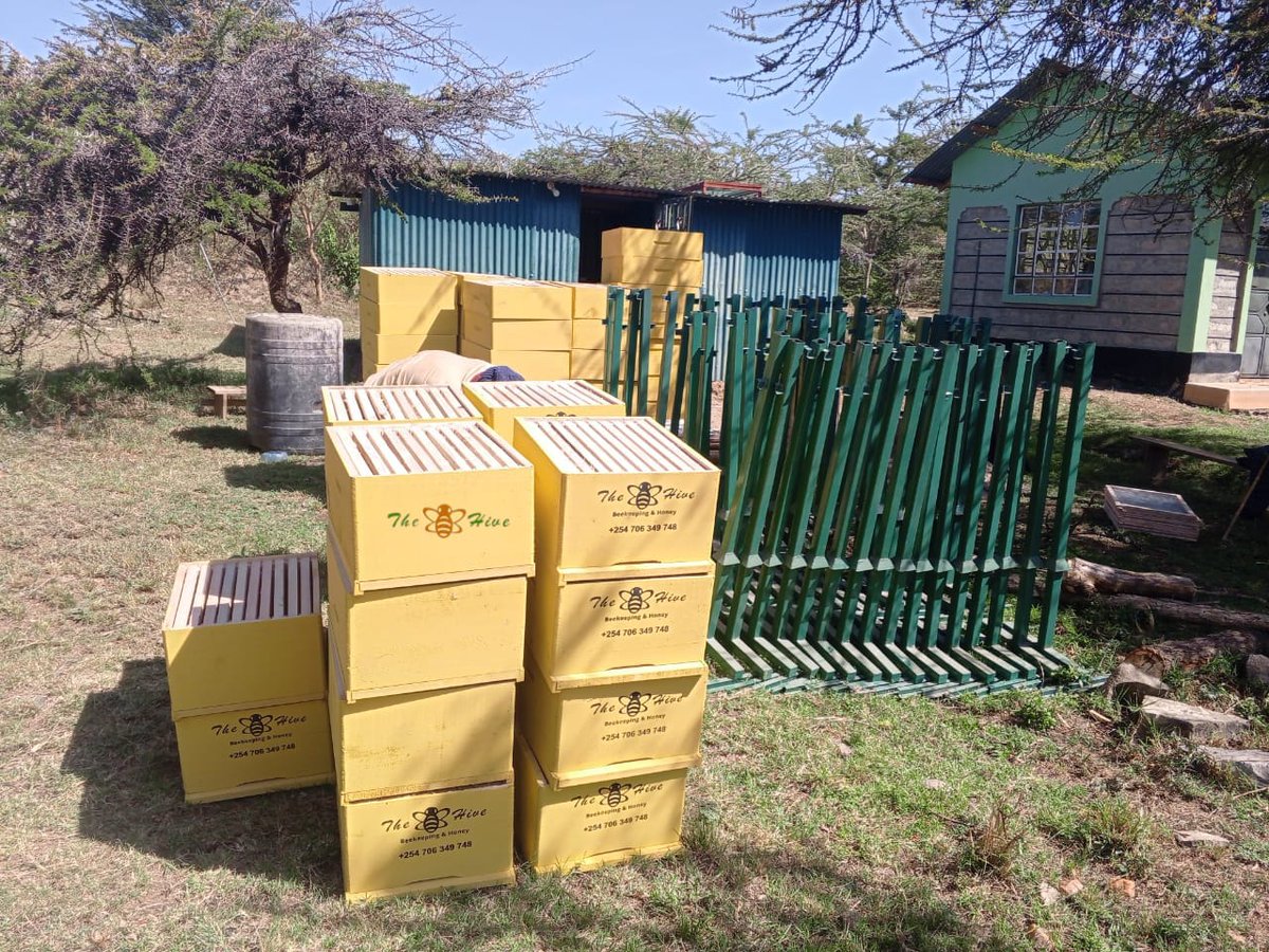 TheHiveLimited's tweet photo. 🐝 More waxed Langstroth hives ready at our workshop. Perfect for expanding or starting 
#beekeeping this swarming season.

Gear, beeswax, attractants &amp; #honey at branches #CountrywideDelivery.

+254706349748 | Beekeepers@thehive.co.ke

#wax #hive #Langstroth #TheHive #attractbee https://t.co/0VMnzXtwux