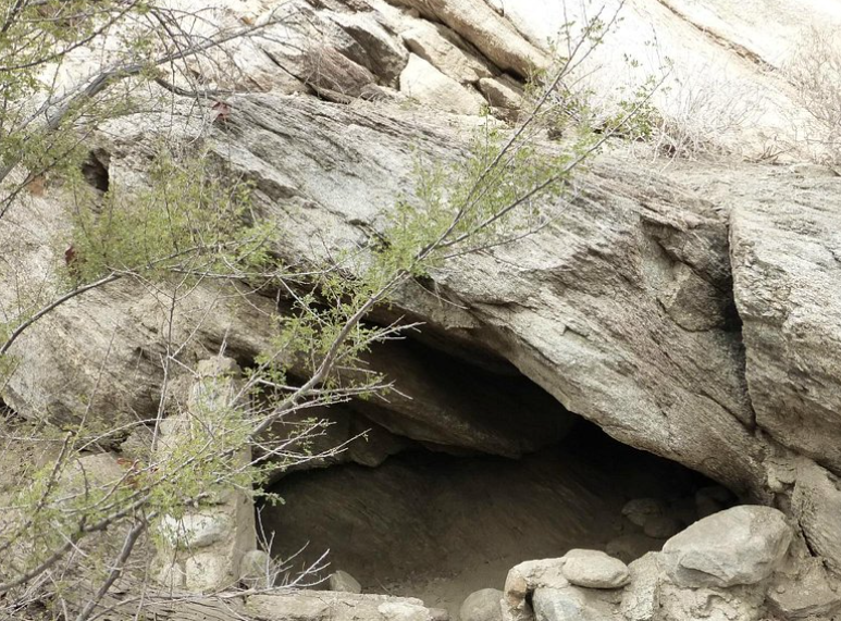 sdtmanager's tweet image. This trip to the Indian canyons was probably my favorite excursion while in the Palm Springs area.