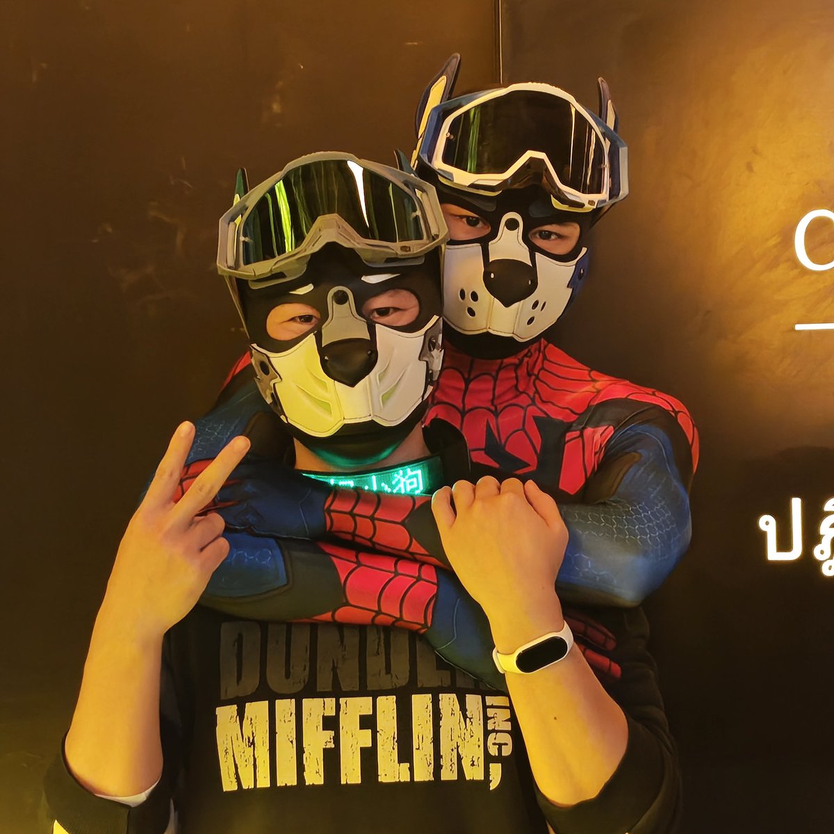 MS_ArkLi's tweet image. 贴贴爱墨和枸杞～都超软超好贴😼
@qwq1577546 
@Margare77733780