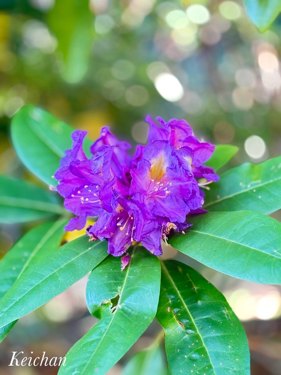 けいちゃん (@k1222_keichan) / Posts / X