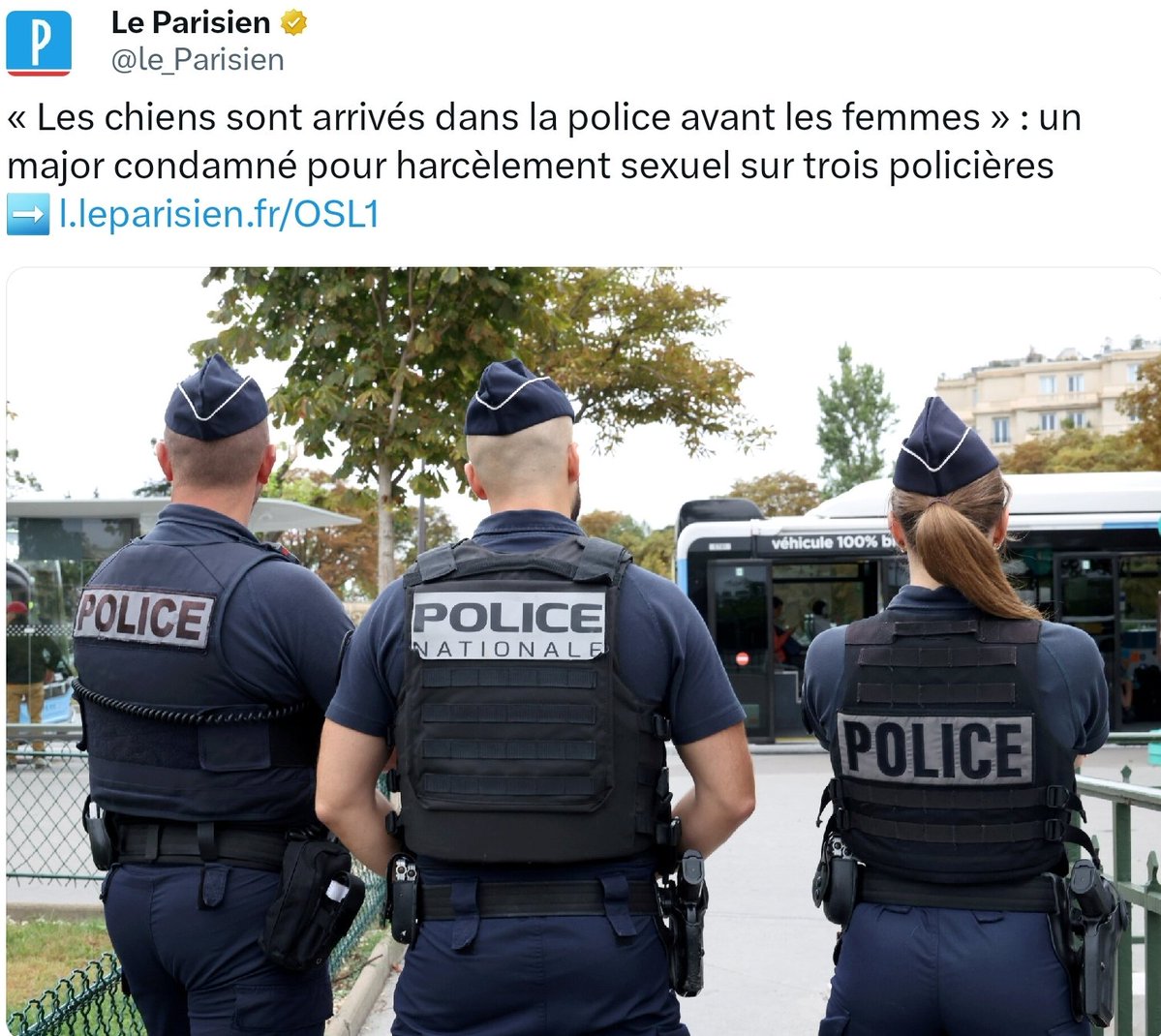 Bob30031583's tweet image. Ah ouais, elle est vraiment belle notre police, un major qui appelle ses collègues femelles, qui matte du porno en service, qui balance des messages bien crades... résultat 18 mois avec sursis et un petit stage égalité hommes-femmes. Faudrait peut-être un grand ménage 🤔