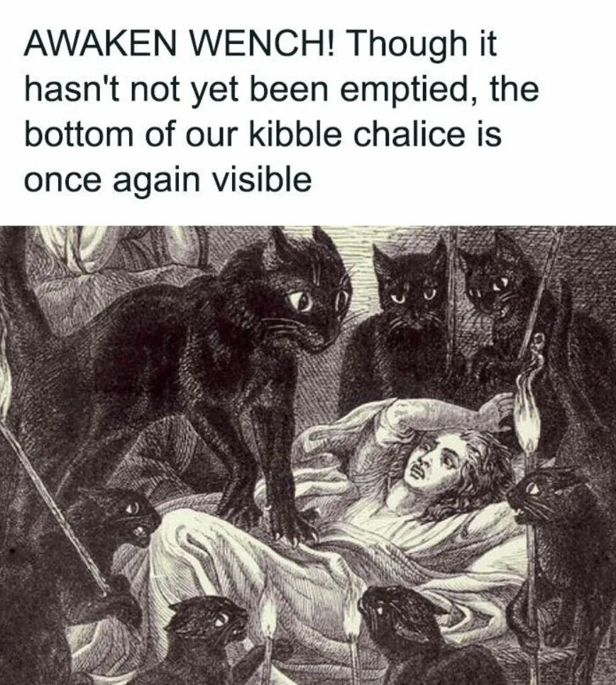 WholesomeMeme's tweet image. 