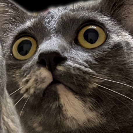 _nnaree's tweet image. ฉัน ก่อนMMA หลังMMA