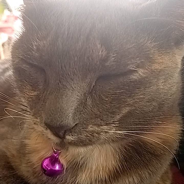 _nnaree's tweet image. ฉัน ก่อนMMA หลังMMA