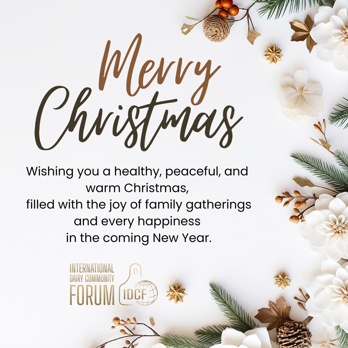 Wishing you a healthy, peaceful, and warm Christmas,
filled with the joy of family gatherings and every happiness in the coming New Year.
