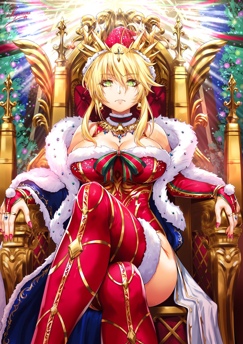 sakiyamama's tweet image. サンタ獅子王🎅🎄
#FGO