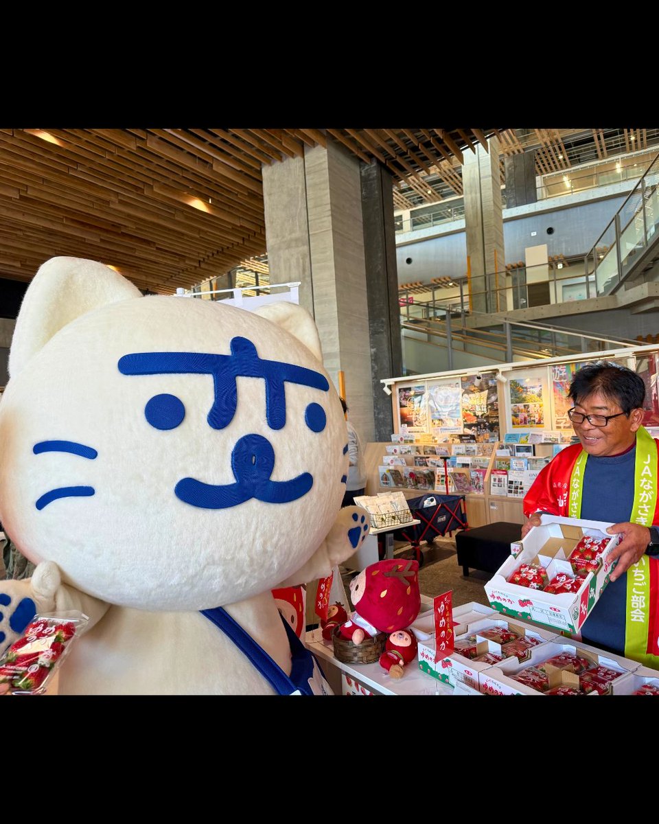 公式】にゃーが（長崎の変） (@nagasakinohen) / Posts / X