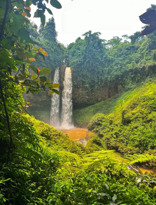Le savais- tu ? Au- delà du paysage pittoresque qu’offre La Vallée de bana,
 durant ton séjour tu peux profiter d’un circuit touristique à ton choix 🤩.