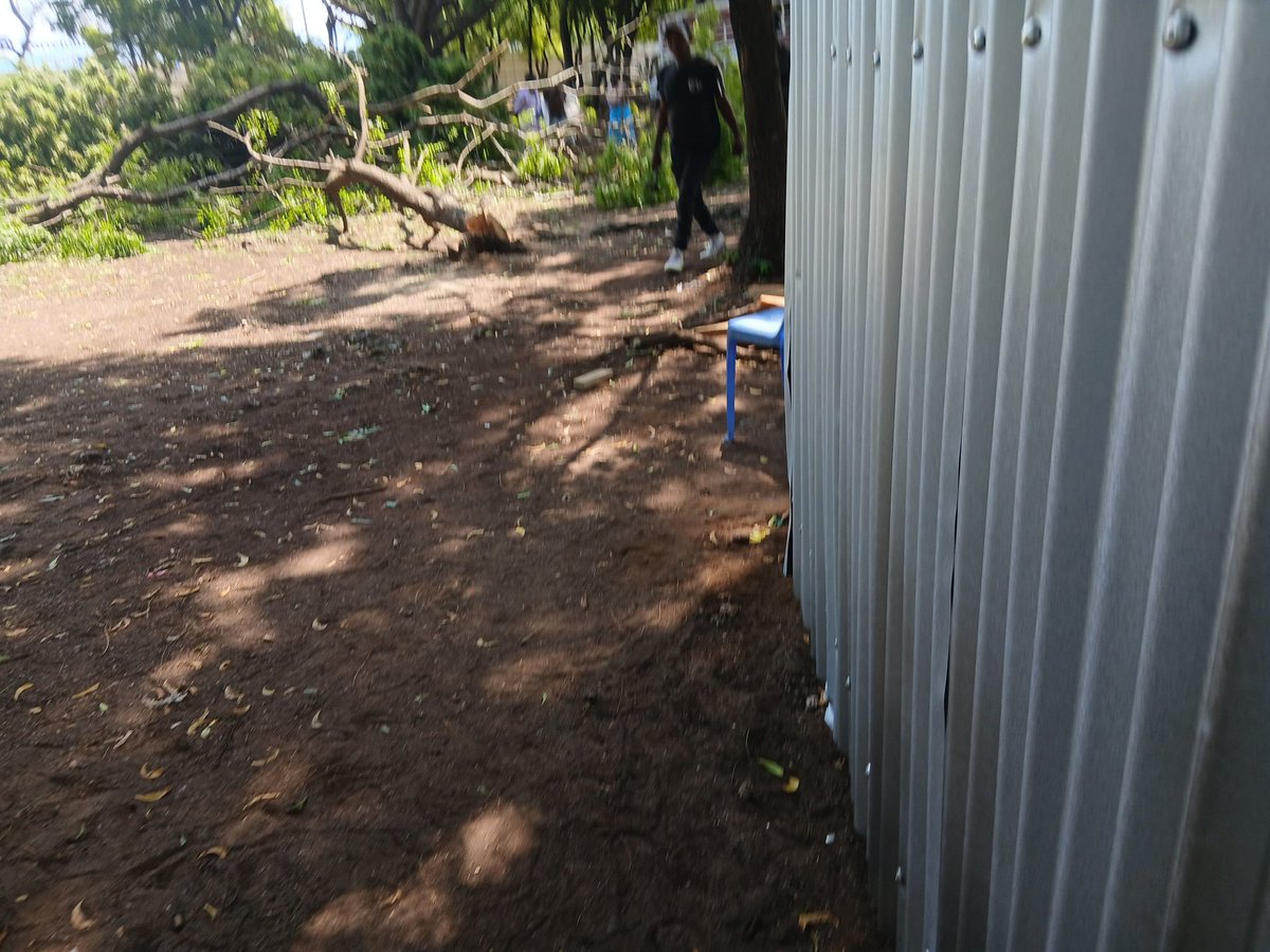 Julius Furaha tweet media