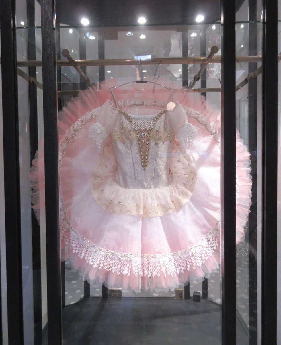 ໒꒰՞ ܸ. .ܸ՞꒱ა⋆⑅˚₊ tweet media