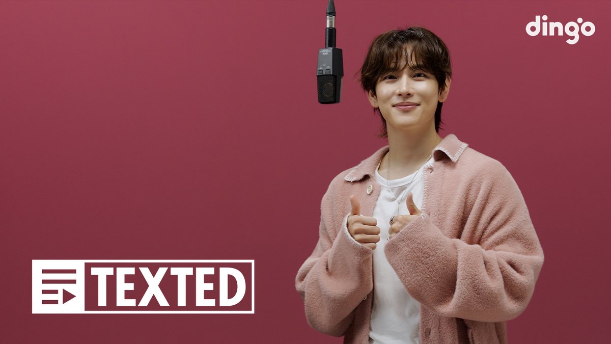 dingo(딩고) tweet media