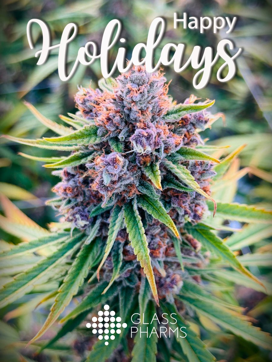 Glass Pharms® tweet media