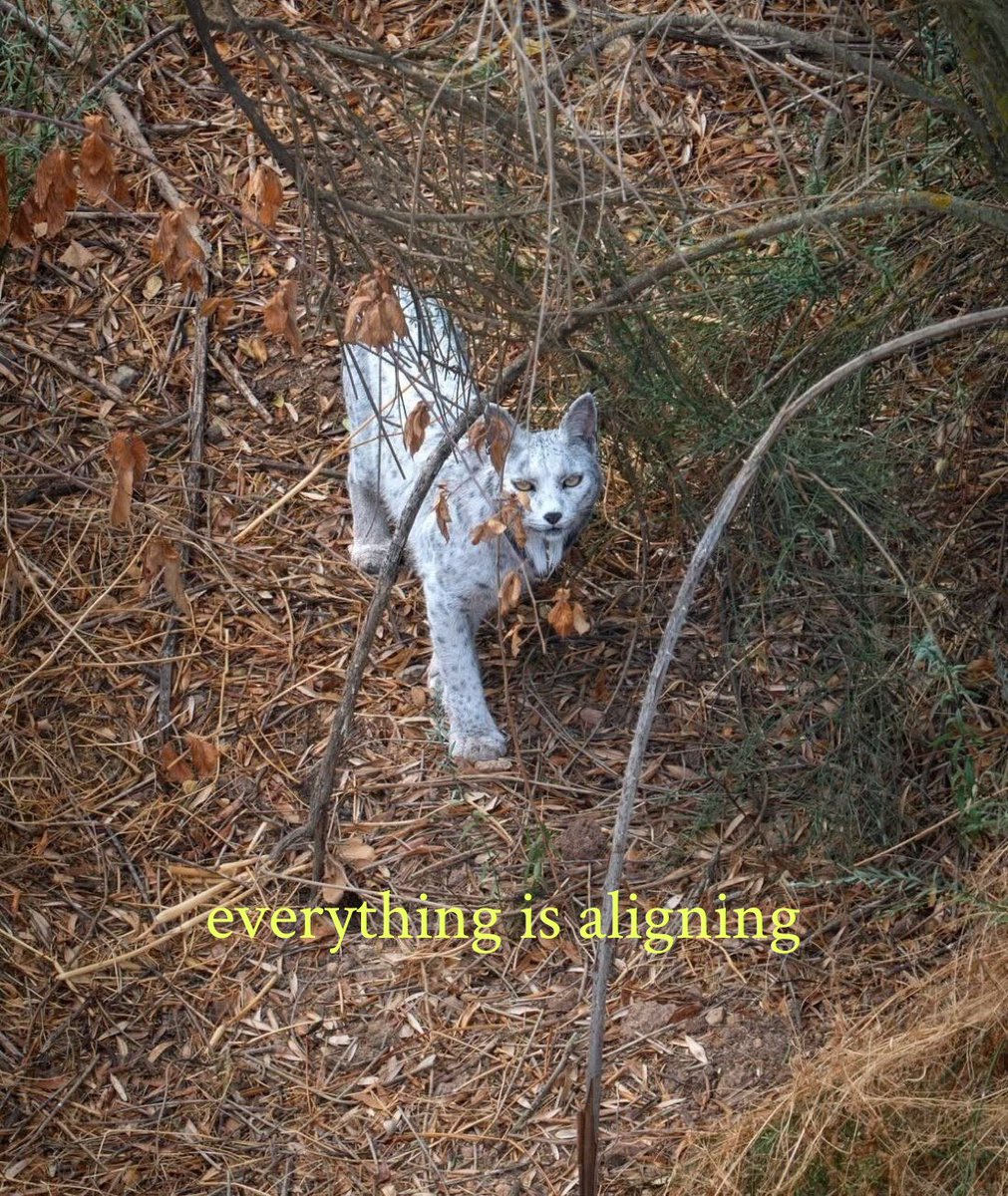 thematrixwizard's tweet image. 