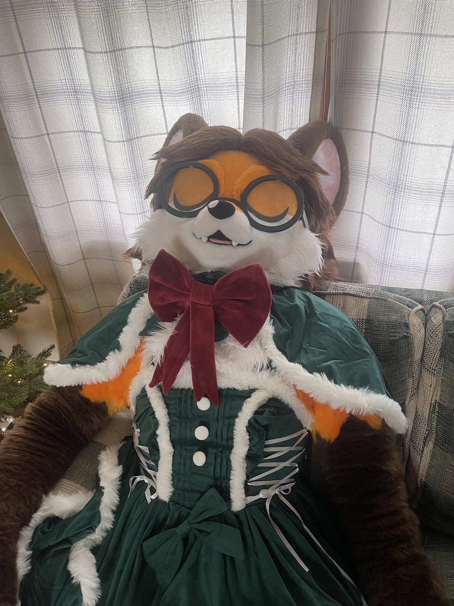 FairfoxLibrary's tweet photo. Putting up Christmas decorations is hard work…
Time for a little fox nap. https://t.co/dZoTWjXXWZ
