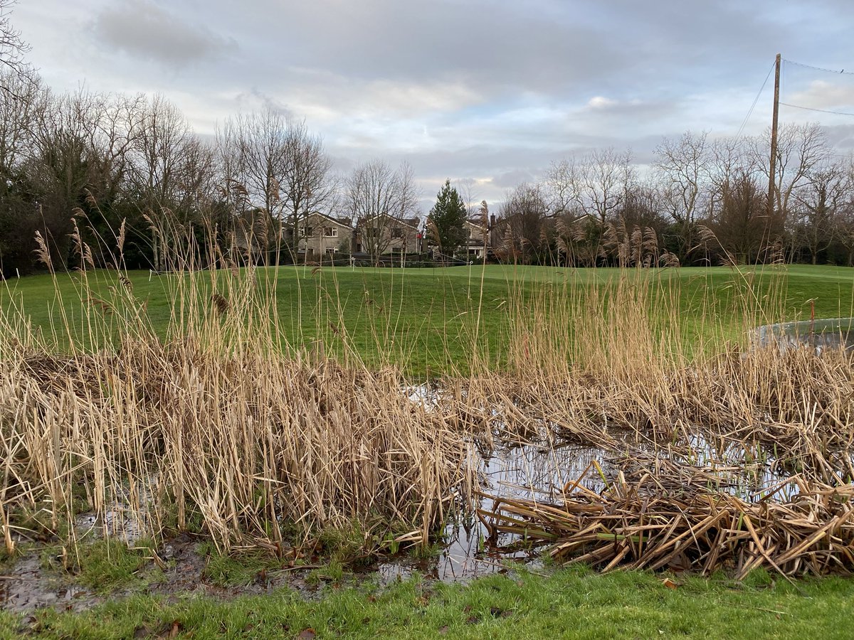 Edmondstown Golf Club tweet media