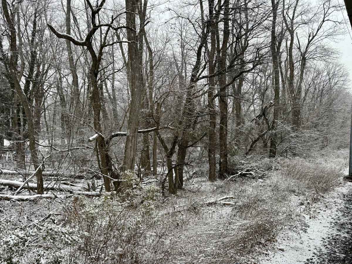 A snowy good morning from the Middletown NJ train station.