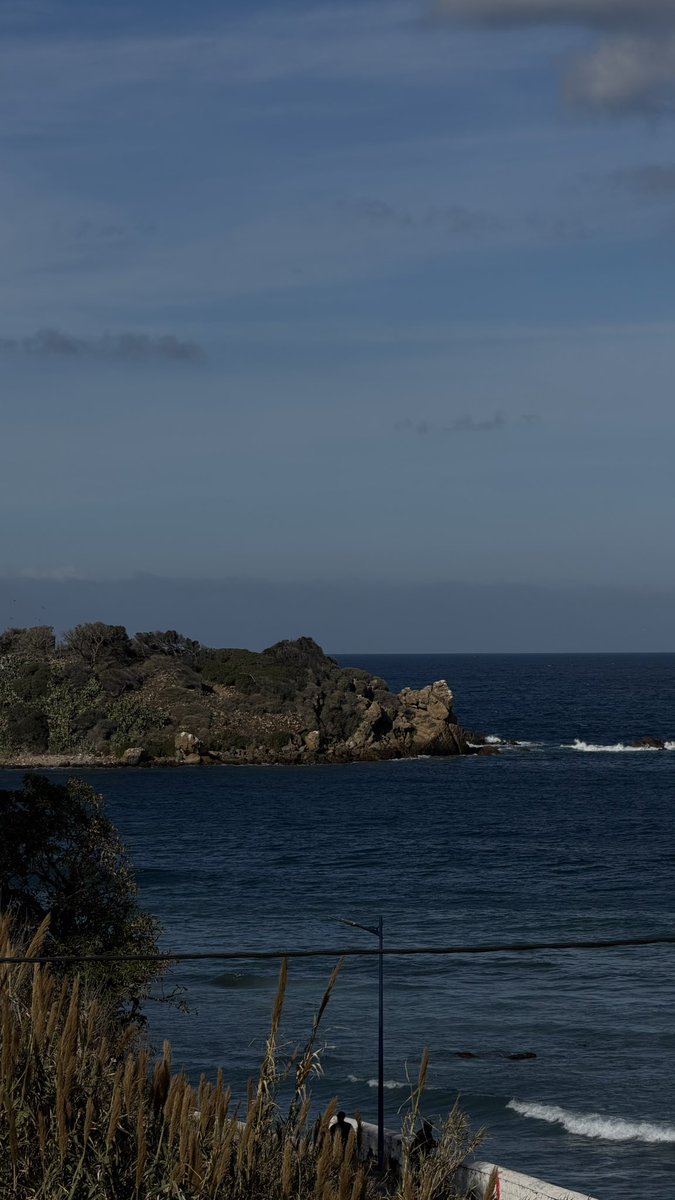 clnben's tweet image. un peu de tigzirt, du izem, un problème de voiture, et un mariage

la routine quoi