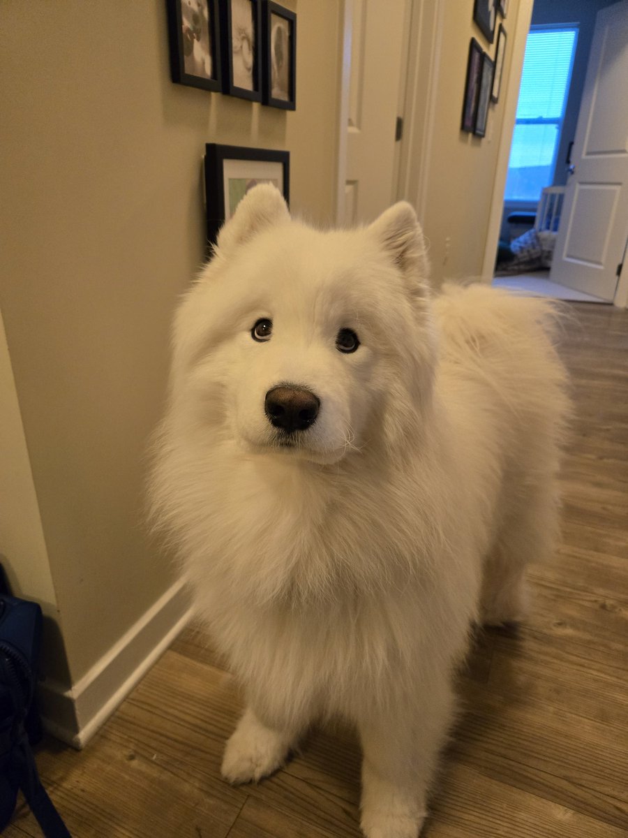 あんちゃん (@anjyu_sub) / Posts / X