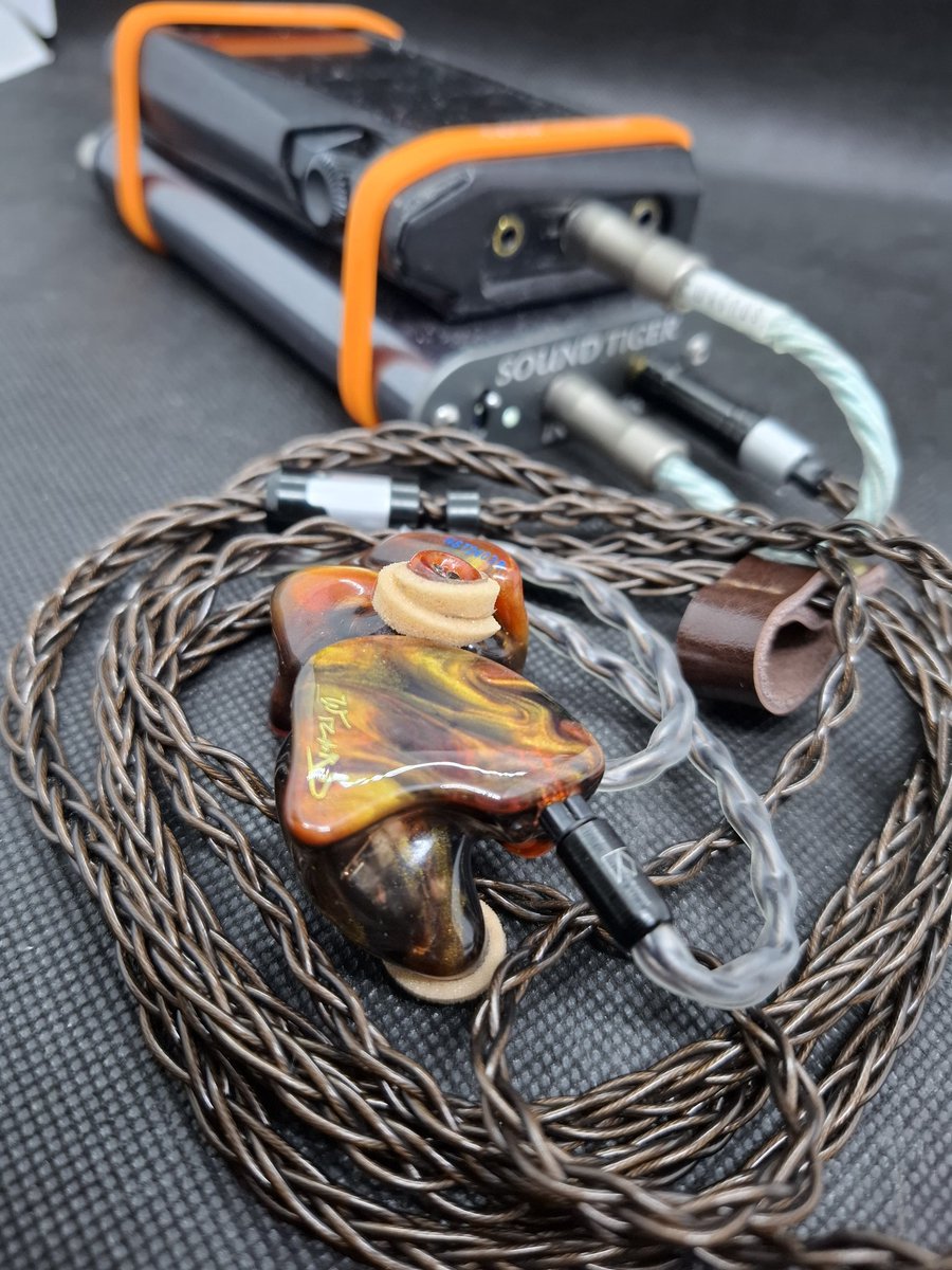 イヤホン Semi Custom 2BA model VINCENT NOBLE Semi Custom 2BA model VINCENT NOBLE