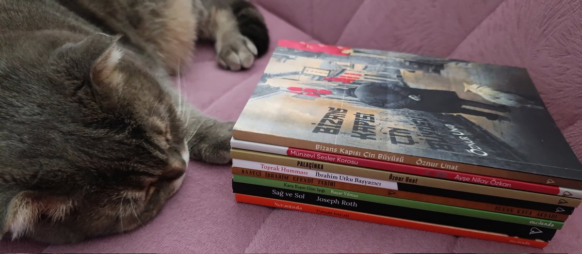Kargomuz geldiii😊😺💛📚Hem de çabucak, teşekkürler <a href="/VacilandoK/">Vacilando Kitap</a> ❤️#kitap #kedi #kargo #aralık #kış