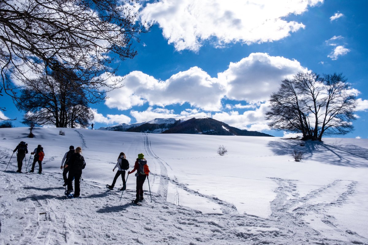 YourAbruzzo's tweet photo. In inverno l’#Abruzzo si scopre con le #ciaspole ai piedi, tra boschi silenziosi e altopiani innevati. Un modo lento e autentico di vivere la montagna, ascoltando il respiro della natura che riposa!
👉 https://t.co/VYBSVkHO76
#abruzzo #viaggioinabruzzo https://t.co/ialCqB9FFb