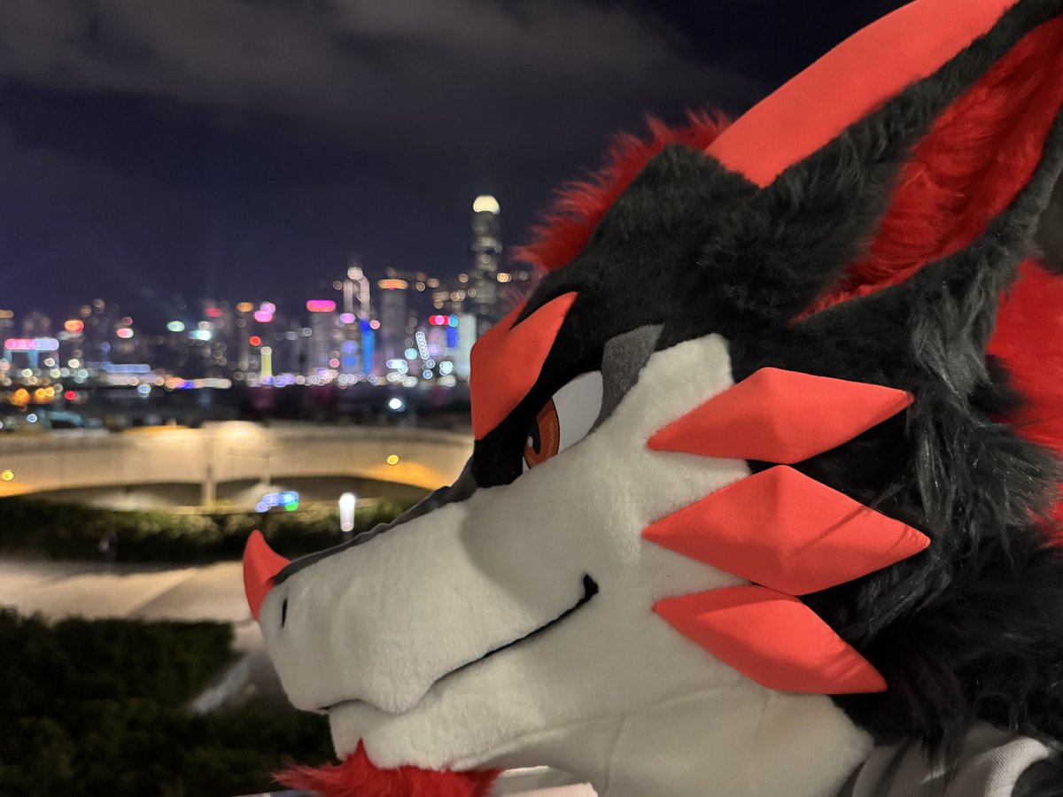 龍騎士阿洛➡️ThaiTails tweet media