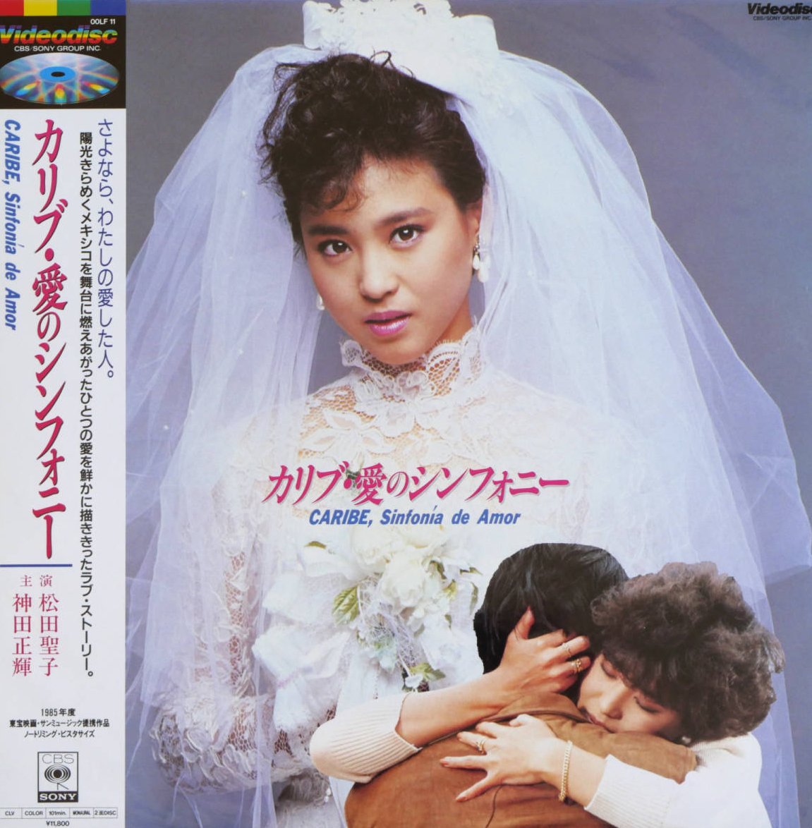 ﾟﾟ・｡・ﾟﾟ｡ Merry Christmas ﾟ。 🫧 2025 23の日 ・｡・ カリブ・愛の