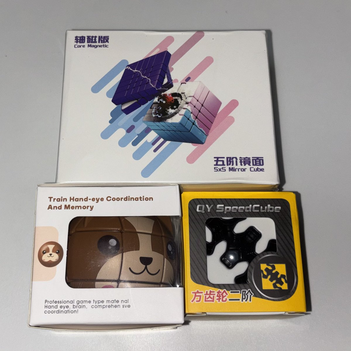 ◆くまくま◆ くま クマ 熊 ベアー20.5 | PASH!ブックス&文庫