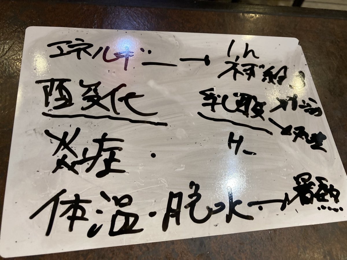 はやと (@hayato406) / Posts / X