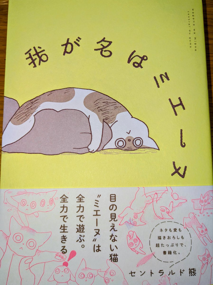 #セントラルド熊　さんの　#我が名はミエーヌ　を紀伊國屋書店新宿本店8階にて発見！！！特典ペーパー付きを無事購入できました