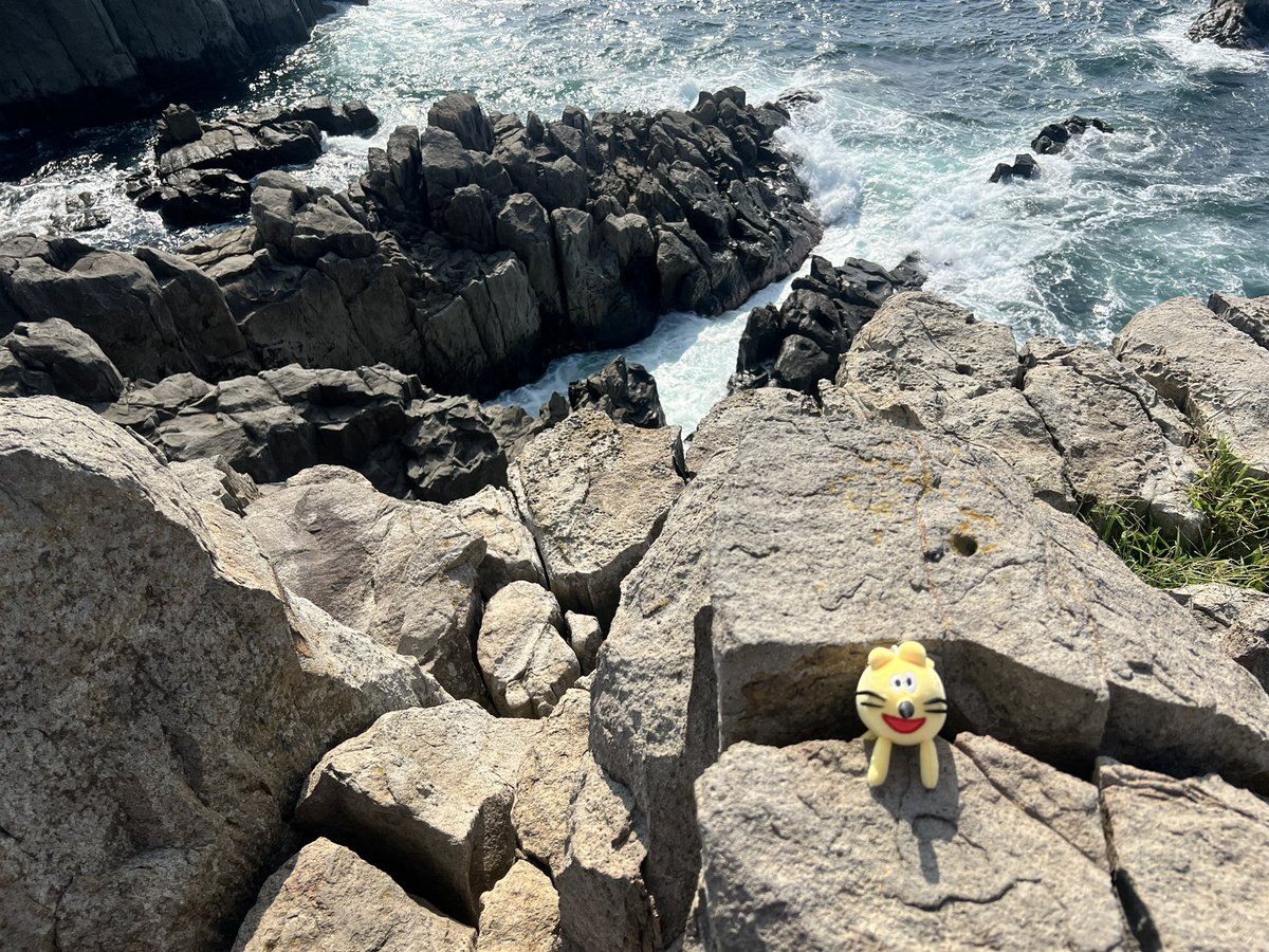 __723nn's tweet photo. 蔵出し！夏の思い出
謎ドッグは東尋坊を楽しんだよ
#やさしさパークタウン
#やさぬい https://t.co/9DYNB63YcJ