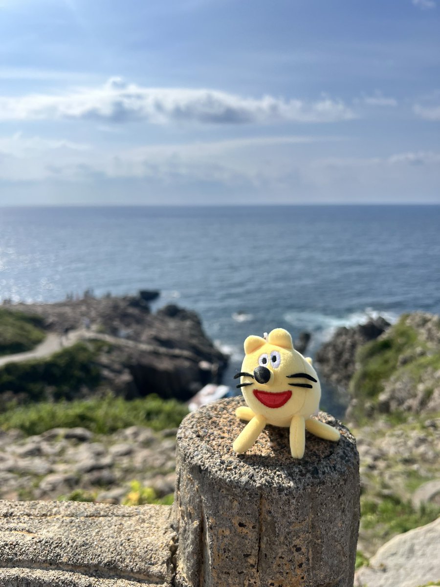 __723nn's tweet photo. 蔵出し！夏の思い出
謎ドッグは東尋坊を楽しんだよ
#やさしさパークタウン
#やさぬい https://t.co/9DYNB63YcJ