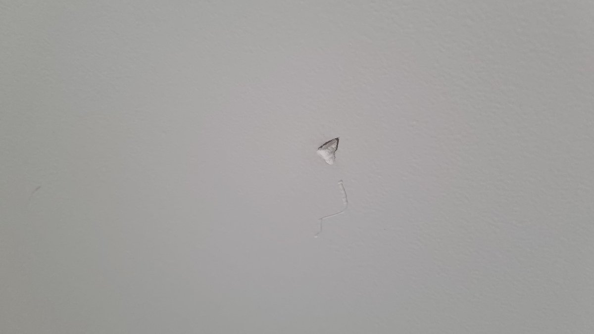 alea jacta 🍀🤞❤️ tweet media