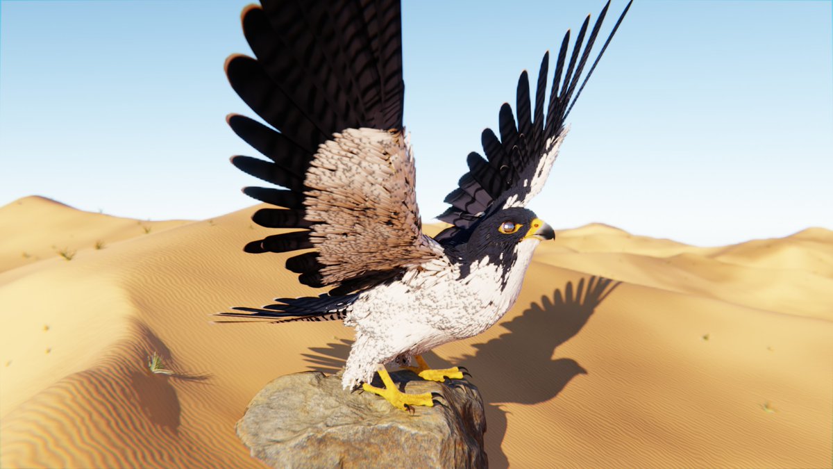 falcon3dmodel's tweet image. Natural light-catch feather 🪶✨
Soft highlights + clean shadows so feathers don’t turn plastic under lighting. Close-up safe, cinematic-ready.
falcon3dmodel.com

#FeatherDetail #Cinematic3D #Blender3D #VFXReady
