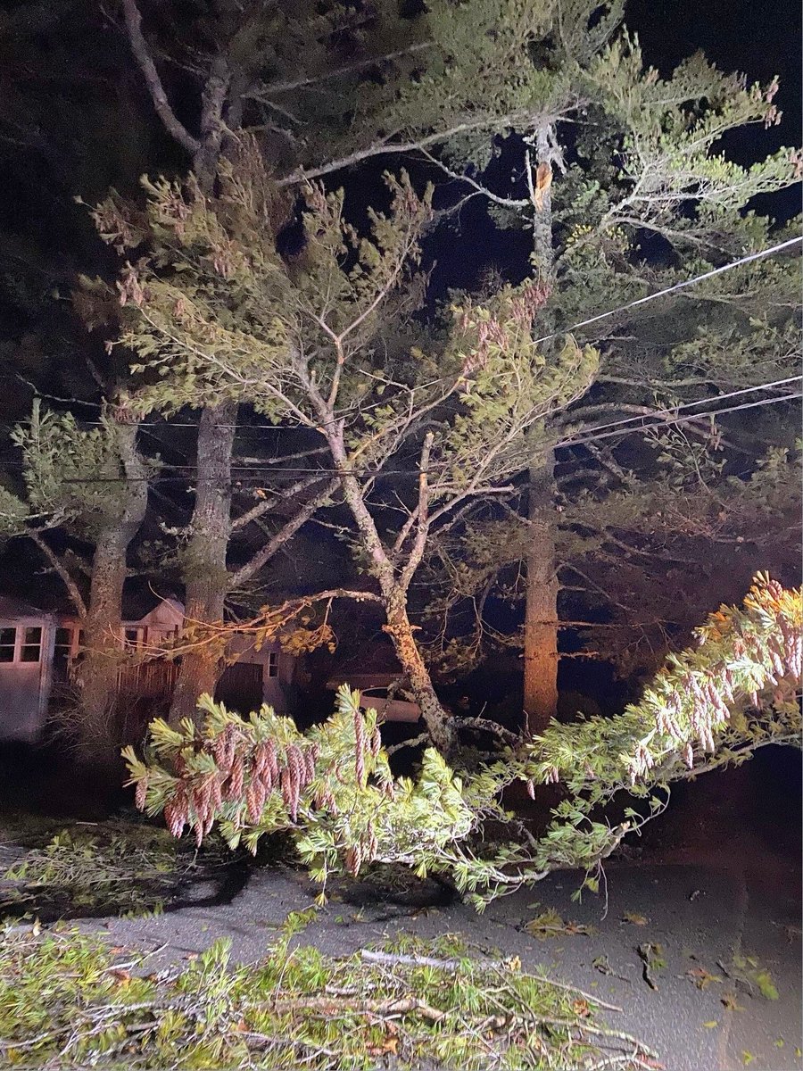 Saint John Energy tweet media