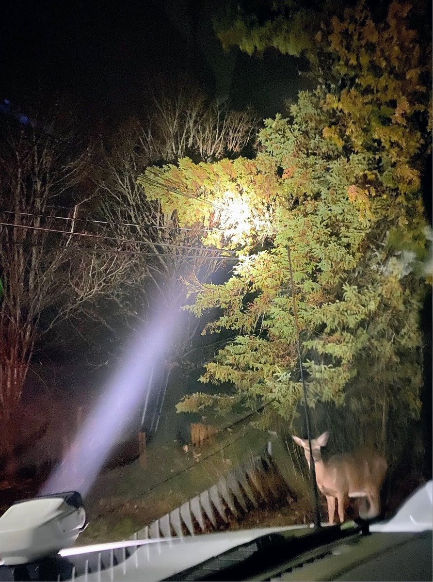 Saint John Energy tweet media