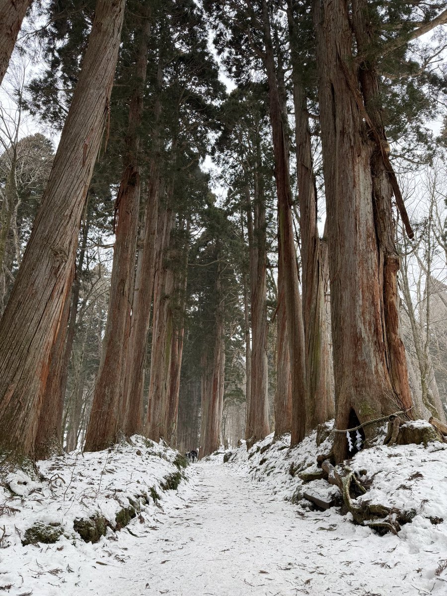 Rex Cheng (@Mizu) tweet media