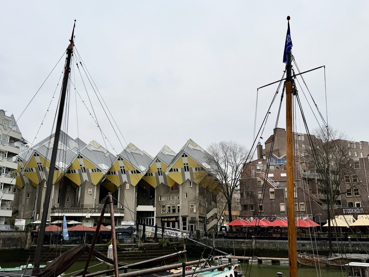 Ashley Ball-Gamble tweet media