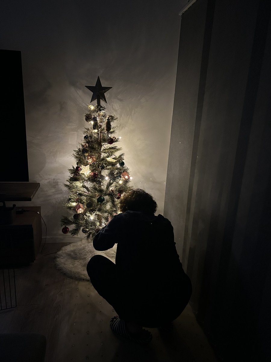 rabbitinnu's tweet photo. イブの前日になって
やっとクリスマスツリー出せました。
出すのと直すの面倒くさいけど、出すとテンション上がるよね😂 https://t.co/8mbHMKQFCI