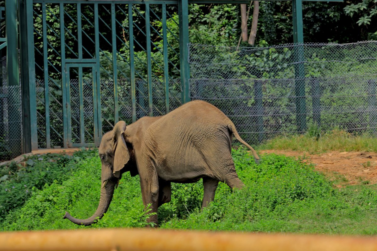 Nazah Events Tours and Travel tweet media